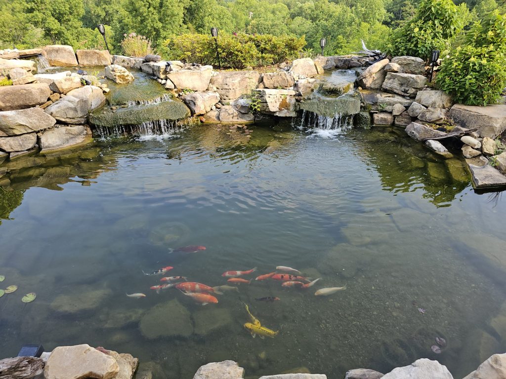 Outdoor Living Pond Sevier County Construction